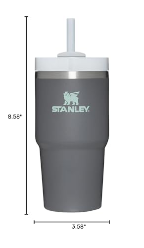 STANLEY Quencher H2.0 Flow State Tumbler, 20 oz, Charcoal | Straw and 3-Position Lid | Cup Holder Compatible for Travel | Insulated Stainless Steel Cup | BPA-Free - color: Charcoal, style: Classic