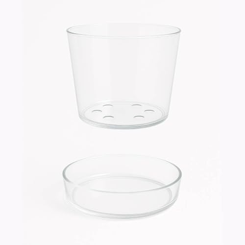 Sheer Glass Pot Planter with Drainage Holes & Tray - Decorative & Modern for All House Plants (6 Inches) - size: 6 Inches