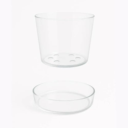 Sheer Glass Pot Planter with Drainage Holes & Tray - Decorative & Modern for All House Plants (6 Inches) - size: 6 Inches