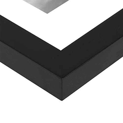 ONE WALL 16x20 Floating Frame, Black Wood Double Glass Float Picture Frame | Display 16x20/11x14 Inch Photos or Plant or Petal Specimens for Wall Hanging, Mounting Accessories Included - size: 16X20