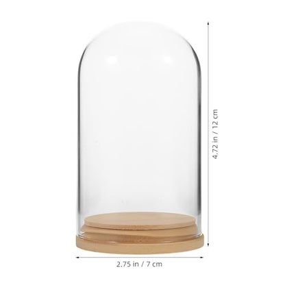 NUOBESTY Glass Cloche with Base Desk Terrarium for Office Hydroponic Vase for Propagation Clear Display Dome for Indoor Plants Tabletop Succulent Planter 4.72 X 2.75 X 2.75 in