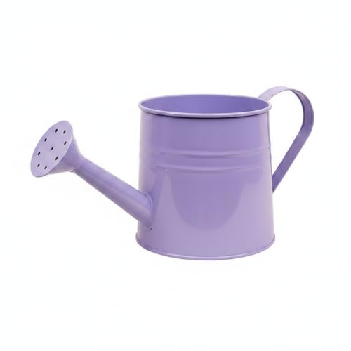 Long Spout Iron Watering Can for Indoor & Outdoor Plants, Durable Metal Design with Precise Flow Control (1 Pack) - color: Purple