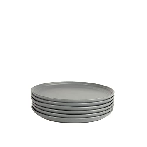 Double Line 8.25" Salad Plate, Set of 6, Matte Gray - color: Matte Gray, size: Salad Plate