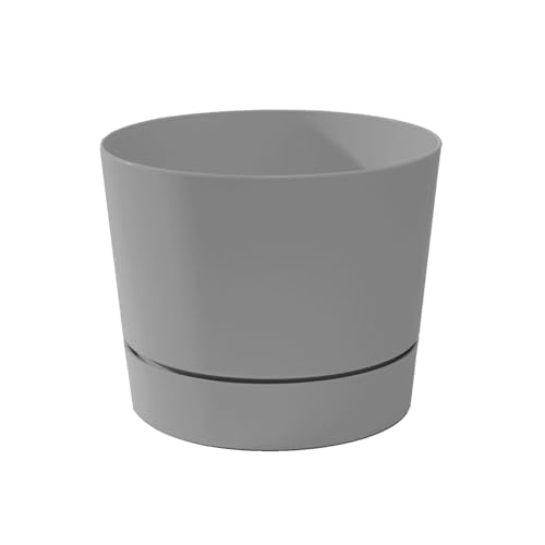 Root & Vessel Majestic Mid-Century Modern Low Profile Cylinder Pot, Matte Gray, 4.5" - color: Matte Gray, size: 4.5-Inch