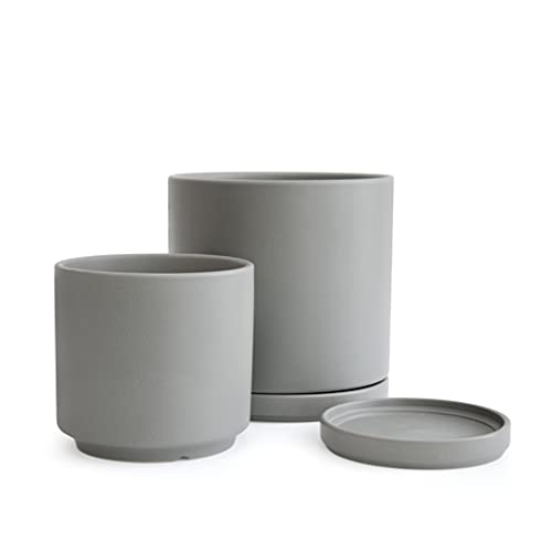D'vine Dev 2-Pack Ceramic Pots with Saucers, 6/8 in, Grey, 94-G-M-3 | Glazed Ceramic, Drainage Hole, Perfect-Fit Saucer, Sleek Cylinder Shape, High Temperature Fired, Elegant Home Accent - color: Gray, size: Medium