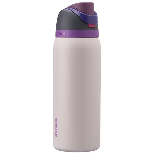 Owala FreeSip Stainless Steel Water Bottle 32 oz Dreamy Field - color: Dreamy Field, size: 32 Ounces