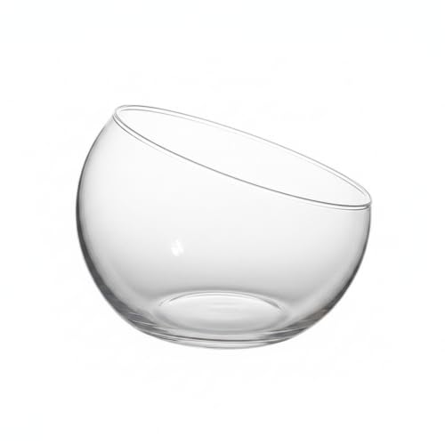 Geometric Glass Terrarium, Borosilicate Planter for Succulents and Air Plants, Desktop Display Vessel (1 PC)