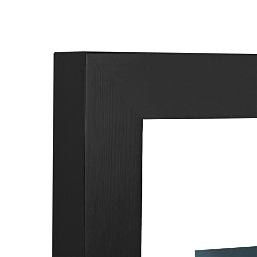 ONE WALL 11x14 Floating Frame, Black Wood Double Glass Float Picture Frame | Floating Picture Frames Display 11x14/8x10/5x7 Inch Photos Plant Petal Specimens for Wall and Tabletop, Mounting Kit Included - size: 11X14