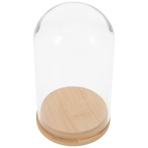 NUOBESTY Glass Cloche with Base Desk Terrarium for Office Hydroponic Vase for Propagation Clear Display Dome for Indoor Plants Tabletop Succulent Planter 4.72 X 2.75 X 2.75 in