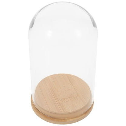 NUOBESTY Glass Cloche with Base Desk Terrarium for Office Hydroponic Vase for Propagation Clear Display Dome for Indoor Plants Tabletop Succulent Planter 4.72 X 2.75 X 2.75 in