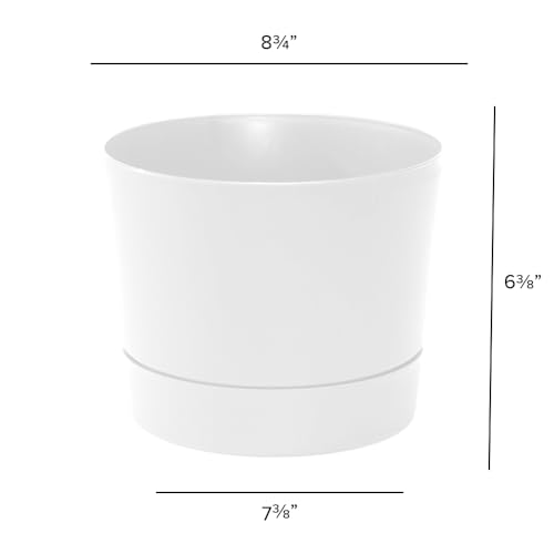 Root & Vessel Majestic Mid-Century Modern Low Profile Cylinder Pot, Matte White, 8.5" - color: Matte White, size: 8.5-Inch