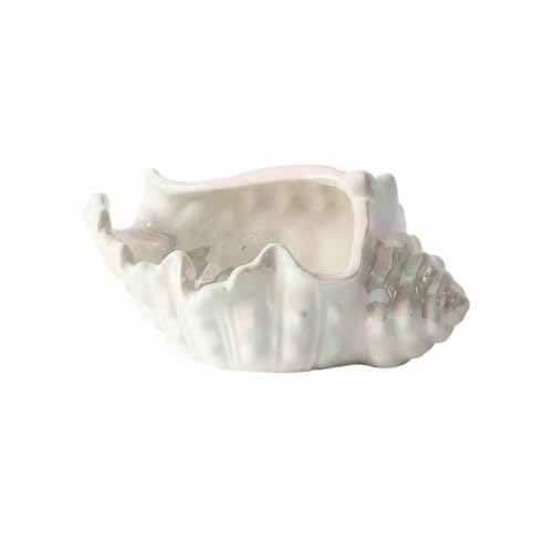 Conch Shaped Ceramic Jewelry Tray for Vanity, Nightstand, and Entryway Organization - Decorative Catchall Dish - color: Multicolor