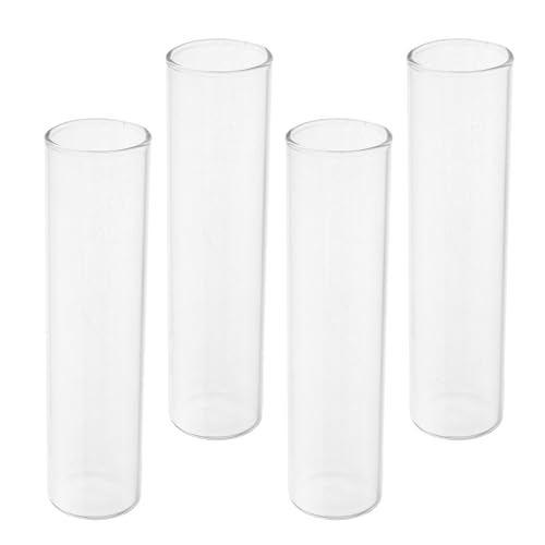 Test Tube Vase Propagation Station for Hydroponic Plants Clear Glass Flower Holders for Indoor Home Decor Modern Minimalist Small Plant Stand 7.08X1.18X1.18In