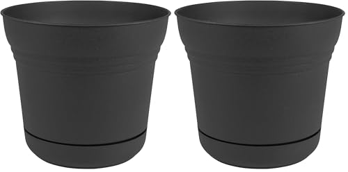 Bloem 010280 Saturn Planter with Saucer, 5", Black (SP0500), 5" (Pack of 2) - color: 블랙., size: 5"