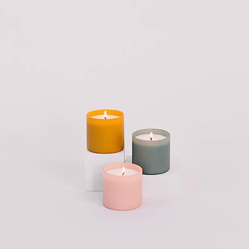 Dignity Series Scented Candle Gift Set - 6 Soy Wax Candles | 35 Hour Burn - Made in the USA Luxury Clean Soy Wax Candles - Long Lasting Colorful Ceramic Jar Candle for Home - 5.3oz - color: Gift Set
