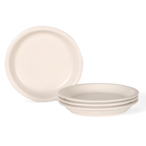 GZG 8 Inch Ceramic Dinner Salad Plates, Set of 4, Cream Mist | Rustic Matte Glaze Stoneware Dinnerware, Microwave & Dishwasher Safe, For Salad, Dessert, Appetizer, Everyday Use - color: Cream Mist, size: 4 pcs Salad Plate Set