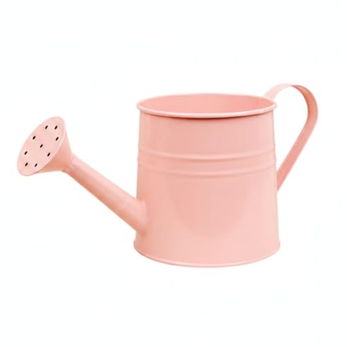 Long Spout Iron Watering Can for Indoor & Outdoor Plants, Durable Metal Design with Precise Flow Control (1 Pack) - color: Pink