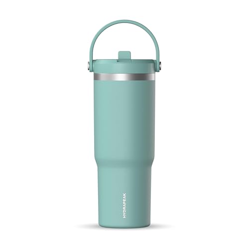 Hydrapeak Nomad 32oz Stainless Steel Insulated Travel Tumbler with Handle & Straw Lid, Leakproof, Cupholder Friendly, Back to School, College Dorm, Gym & Everyday Hydration, Cold 24 Hours (Pale Sage) - color: Pale Sage