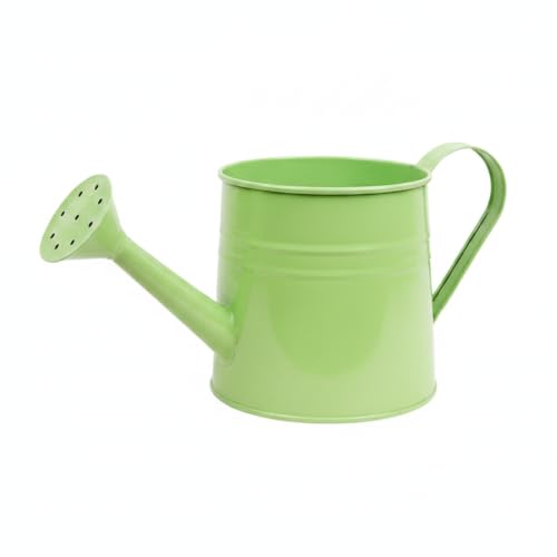 Long Spout Iron Watering Can for Indoor & Outdoor Plants, Durable Metal Design with Precise Flow Control (1 Pack) - color: Green