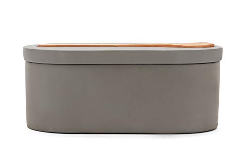 Fox Run 11725 Cement Double Salt Cellar with Spoon, 3 x 3.5 x 6.25 inches, Gray