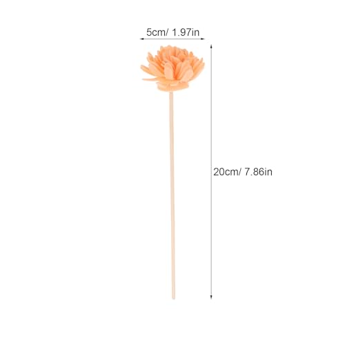 Didiseaon 12Pcs Dried Flower Diffuser Sticks Refill Flower Reed Diffuser Sticks Replacement Reeds for Essential Oil Bottles Aromatherapy Home Fragrance Decorative Sticks
