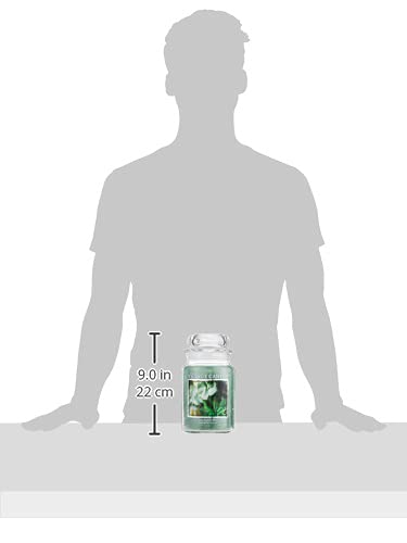 Village Candle Eucalyptus Mint Large Glass Apothecary Jar Scented Candle, Gift for Mom & Dad, 21.25 oz., Green - size: 21.25 oz.