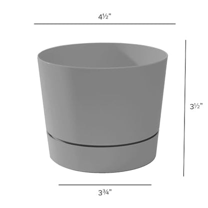 Root & Vessel Majestic Mid-Century Modern Low Profile Cylinder Pot, Matte Gray, 4.5" - color: Matte Gray, size: 4.5-Inch