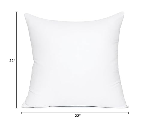 MIULEE 22x22 Pillow Insert, Premium Throw Pillow with Virgin Fiber Filling | Soft and Support, Durable Brushed Fabric, Decorative Pillow for Sofa Bed Couch - size: 22x22 Inch (Pack of 1)