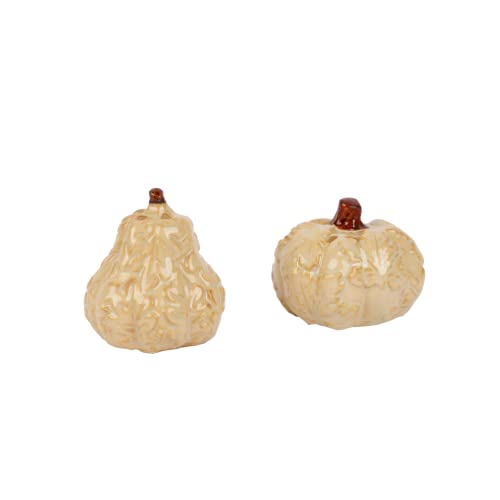 Porcelain Harvest Salt and Pepper Shakers- White - color: White Squash