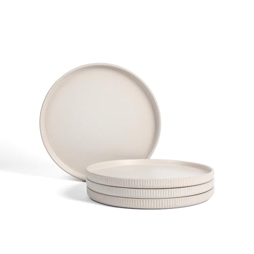 Stone Lain Haven Modern Stoneware 4 Piece Dinner Plates Sets, Dish Set for 4,Reactive Glaze Beige - color: Beige, size: 4-Piece - Dinner Plate