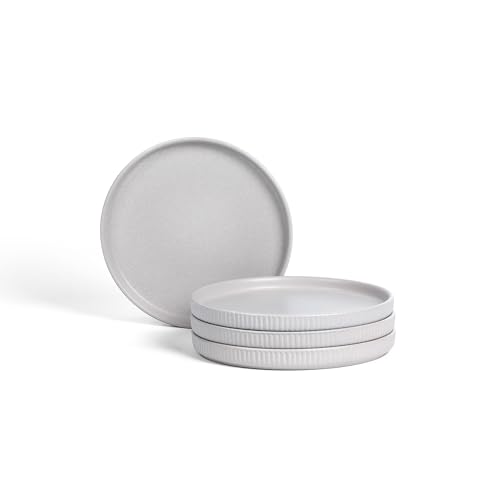 Stone Lain Haven Modern Stoneware 4 Piece Salad Plates Sets, Dish Set for 4, Reactive Glaze Grey - color: Gray, size: 4-Piece - Salad Plate