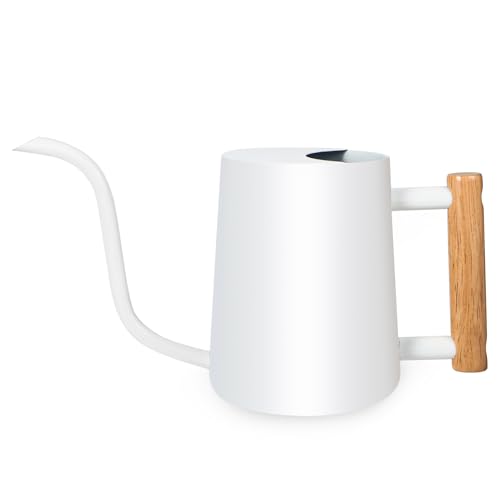 Watering Can Indoor Plants, 35oz Small Stainless Steel Metal Watering Can Modern Decorative Watering Pot with Long Spout for Indoor House Plant Bonsai Outdoor Garden Flowers -White - color: White