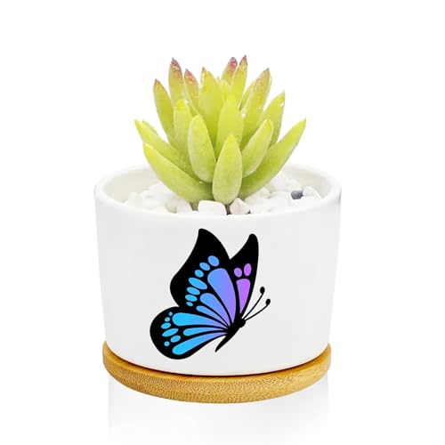 1Pcs Butterfly Planter Pots with Drainage and Tray, Ceramic Pot 3 Inch | Small Planters for Plants,Decoration for Outdoors,Home,Office,Window,Garden, Gifts for Women Men (No Plants Included) - style: Butterfly