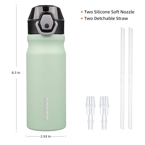 BJPKPK 18 oz Water Bottle with Straw & Handle, Insulated Stainless Flask | Leak Proof Locking Lid, Thermal, Double Wall Vacuum, Keeps Hot/Cold, BPA Free, Dishwasher Safe, Travel & Sports, Sage - color: Sage, size: 18 Ounces