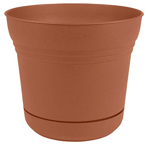 Bloem SP0546 Saturn Planter w/Saucer 5" Terra Cotta, 5" - color: Terra Cotta, size: 5"