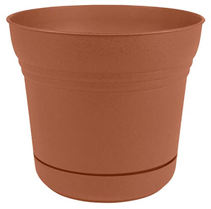 Bloem SP0546 Saturn Planter w/Saucer 5" Terra Cotta, 5" - color: Terra Cotta, size: 5"