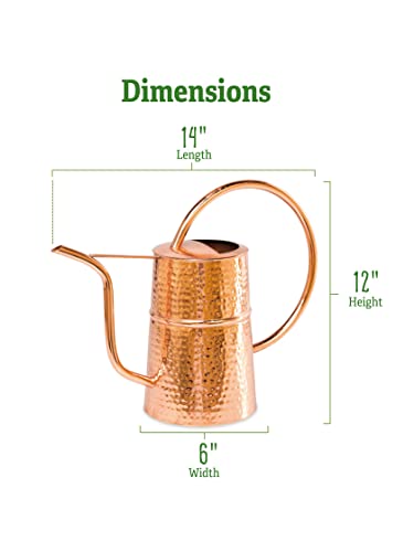 Gardener’s Supply Company Copper Plated Indoor Watering Can | 3 Quart Water Capacity, Curved Spout for Houseplants, Succulents, Seeds, and Herbs