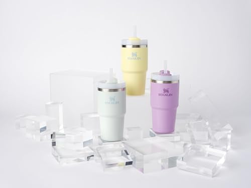 STANLEY Quencher H2.0 Flow State Tumbler, 20 oz, Lilac | Straw and 3-Position Lid | Cup Holder Compatible for Travel | Insulated Stainless Steel Cup | BPA-Free - color: Lilac, style: Classic