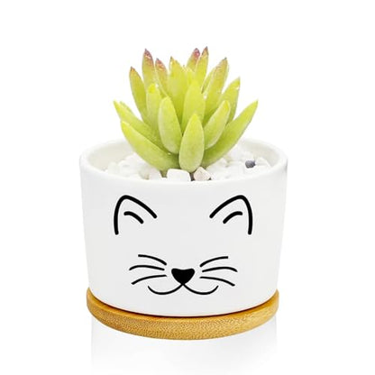 Cat Succulent Pots for Window Garden Cat Gifts for Women 3 Inch | Small Planters with Drainage and Bamboo Tray,Decor for Office Home,Windowsill,Cat Gifts for Women Mom (No Plants Included) - style: Cat Black