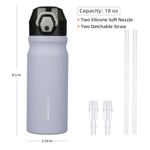 BJPKPK 18 oz Water Bottle with Straw & Handle, Insulated Stainless Flask | Leak Proof Locking Lid, Thermal, Double Wall Vacuum, Keeps Hot/Cold, BPA Free, Dishwasher Safe, Travel & Sports, Iceberg - color: A-Iceberg, size: 18 Ounces