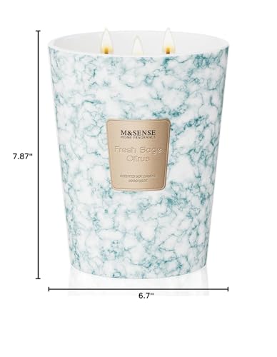 M&SENSE Extra Large Candle 35oz 150H FreshSageCitrus Scented Candle,3 Wick Highly Scented Jar Candle, XL Candles Gift for Stress Relief, Meditation, Yoga - color: FreshSageCitrus, size: Large