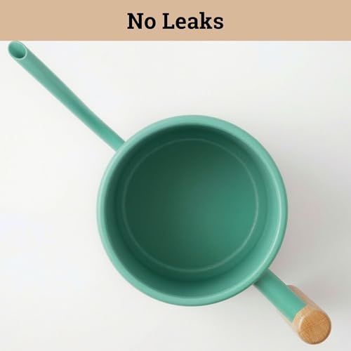 Metal Small Indoor Watering Can with Long Spout & Real Wood Handle, 35oz | Long Spout, Stainless Steel, Real Wood Handle, Gentle Flow, No Spills, Suitable for House Plants, Succulents & Seedlings - color: Mint Green