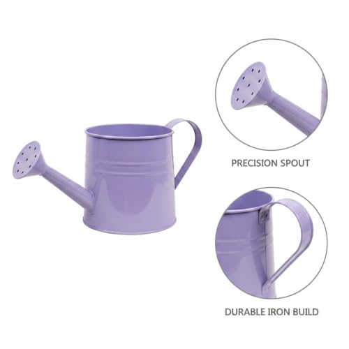 Long Spout Iron Watering Can for Indoor & Outdoor Plants, Durable Metal Design with Precise Flow Control (1 Pack) - color: Purple