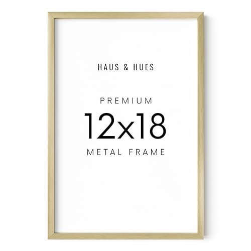 HAUS AND HUES Standalone Gold Aluminum Frame Set of 1-12x18 - color: Gold Metal, size: 12x18 in, style: Set of 01