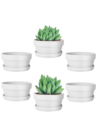 4.5 Inch White Terracotta Shallow Succulent Pots - 6 Pack Terra Cotta Clay Pot with Saucer, Cacuts Indoor and Outdoor Planters with Drainage Hole - color: White, size: 4.5 Inch