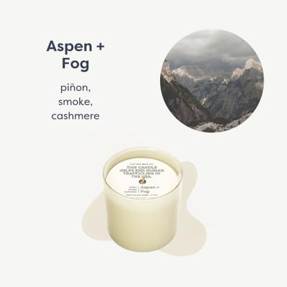 Dignity Series Aspen & Fog Scented Candle - 35 Hour Burn | Made in the USA Luxury Clean Soy Wax Candles - Long Lasting Ivory Glass Jar Candle for Home - 1 Wick - 5.3oz - color: Aspen + Fog