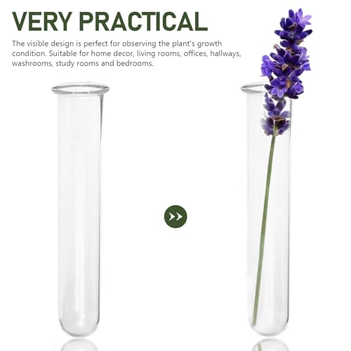 4Pcs Hydroponic Glass Tube Vases for Plant Propagation | Clear Glass Design, for Flower Arrangement, Desktop Shelf Bedside Decor, 15 x 3 cm Size