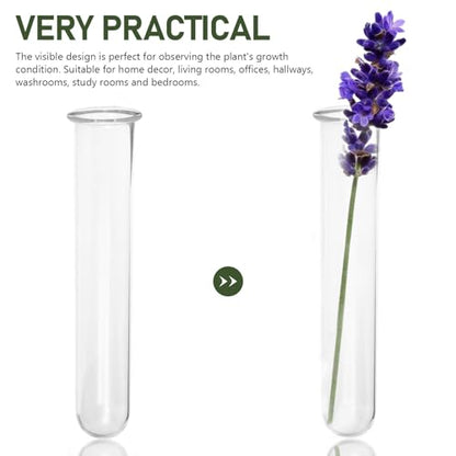 4Pcs Hydroponic Glass Tube Vases for Plant Propagation | Clear Glass Design, for Flower Arrangement, Desktop Shelf Bedside Decor, 15 x 3 cm Size