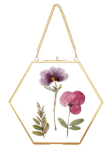 REDHUGO Glass Pressed Flower Frame Handmade, Hexagon, Gold | Double Glass, Brass Floating Picture Frames, Wall Hanging Round Picture, for Dried Flowers Home Wall Decor (FRAME ONLY) - color: Gold, size: 6L" x 7.1W"