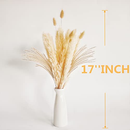 Natural Dried Pampas Grass Decor, Beige Pampas Grass, Bunny Tails Dried Flowers, Reed Grass Bouquet for Wedding Boho Flowers Home Table Decor, Rustic Farmhouse Party (100 in Total ) - size: 100PCS-Beige